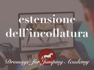 estensione-incollatura