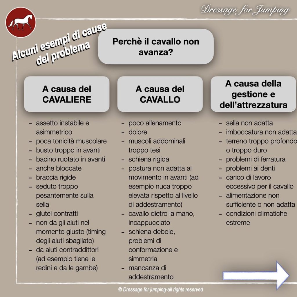 Cosa fare con un cavallo che non avanza? Usare gli speroni è la scelta giusta?