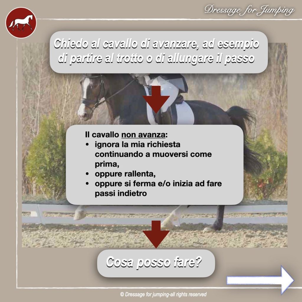 Cosa fare con un cavallo che non avanza? Usare gli speroni è la scelta giusta?