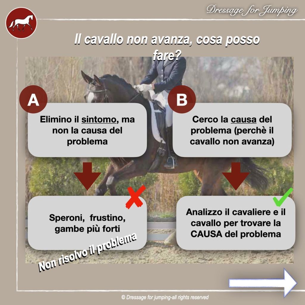 Cosa fare con un cavallo che non avanza? Usare gli speroni è la scelta giusta?