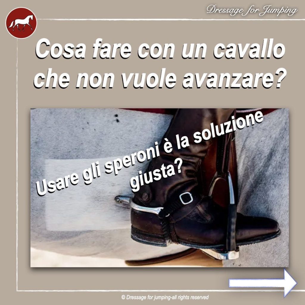 Cosa fare con un cavallo che non avanza? Usare gli speroni è la scelta giusta?