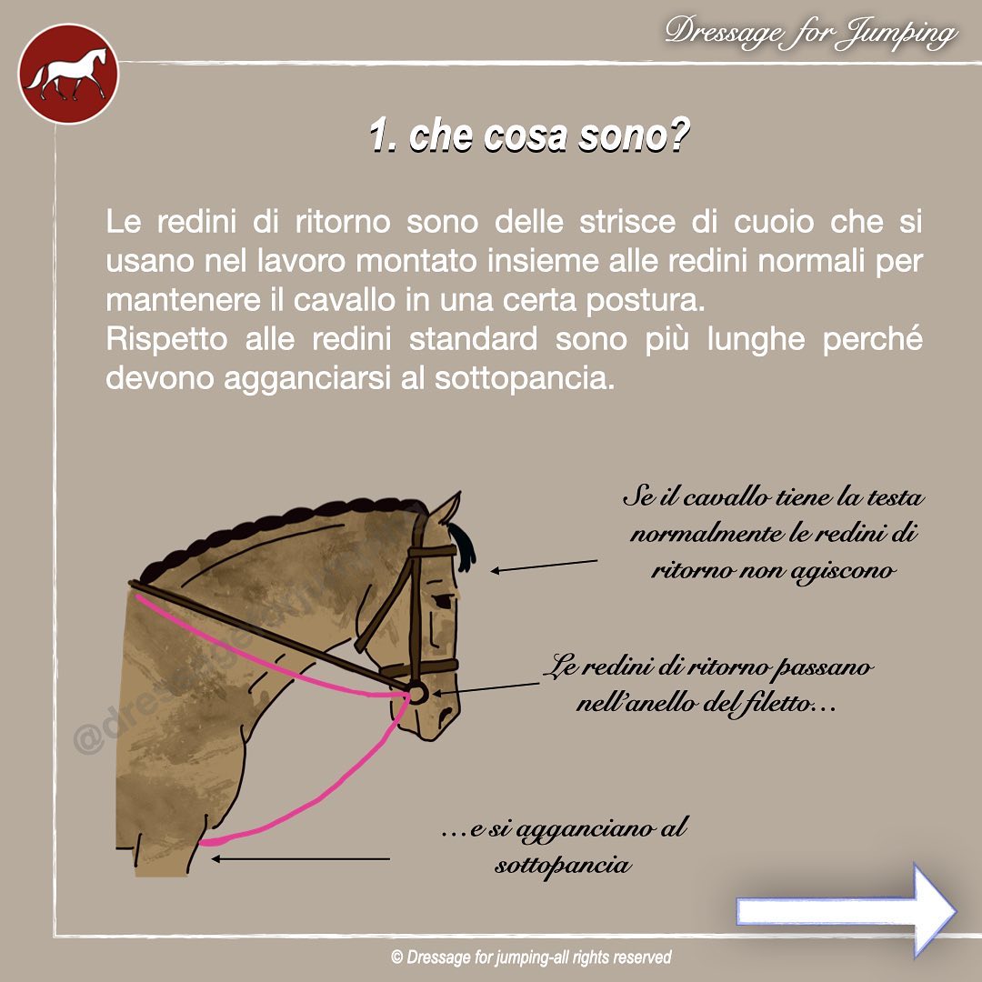 5 Cose Da Sapere Sulle Redini Di Ritorno - Foto 2