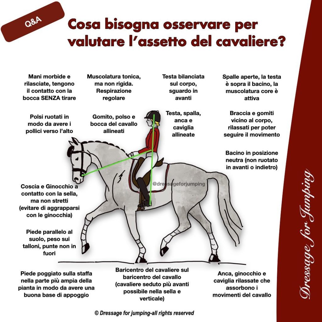 Cosa bisogna osservare per valutare l’assetto del cavaliere?