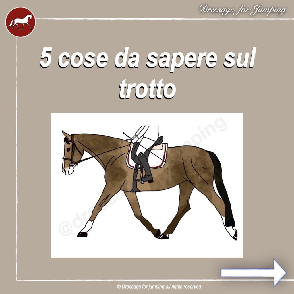 5 cose da sapere sul trotto