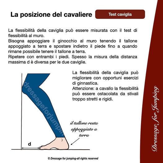 Test della flessibilità della caviglia