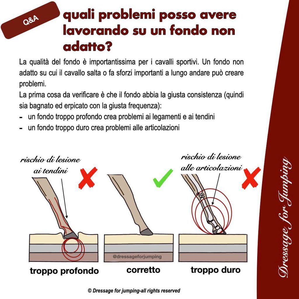 Come deve essere il fondo del maneggio o del campo su cui lavora il cavallo?