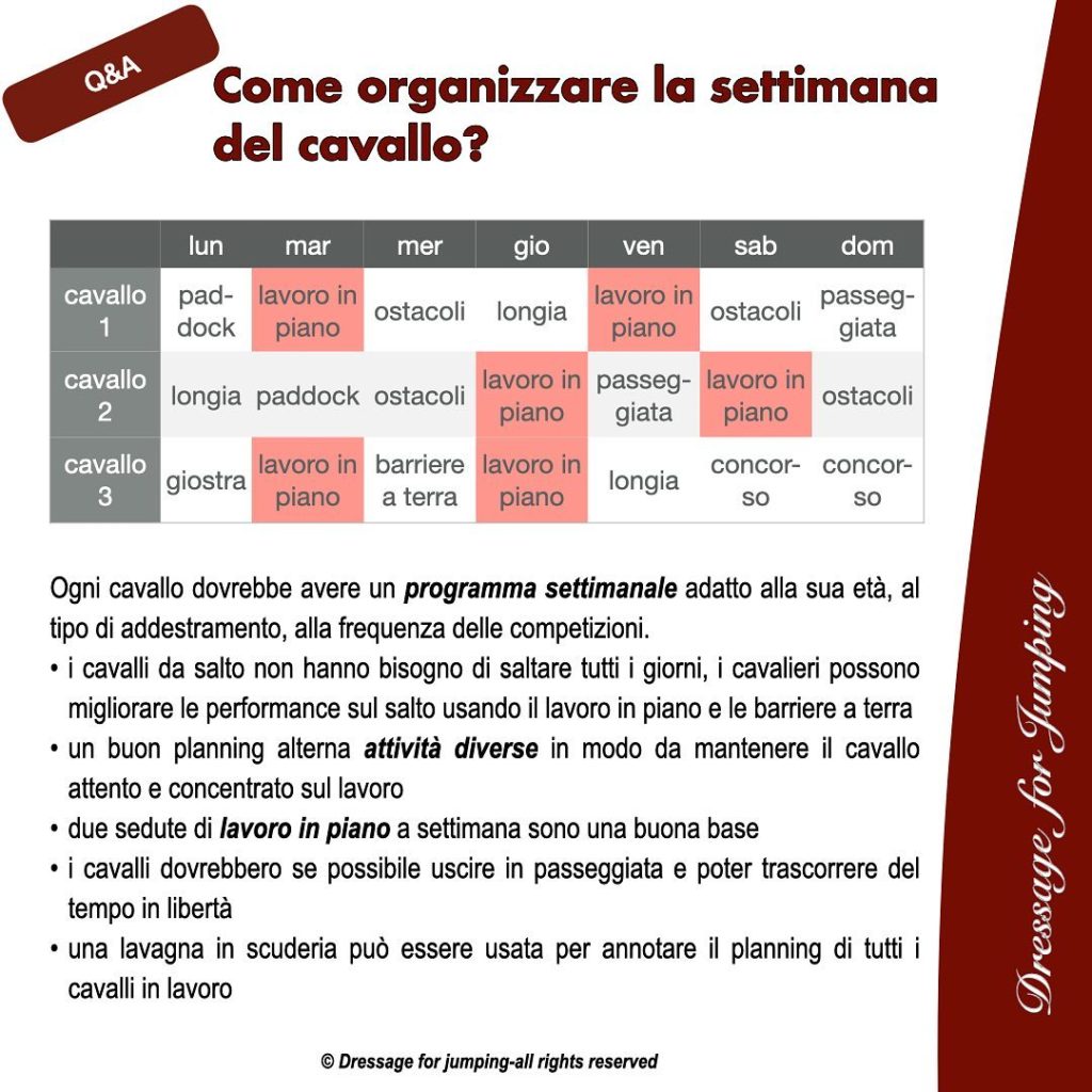 Come organizzare la settimana di lavoro di un cavallo sportivo?