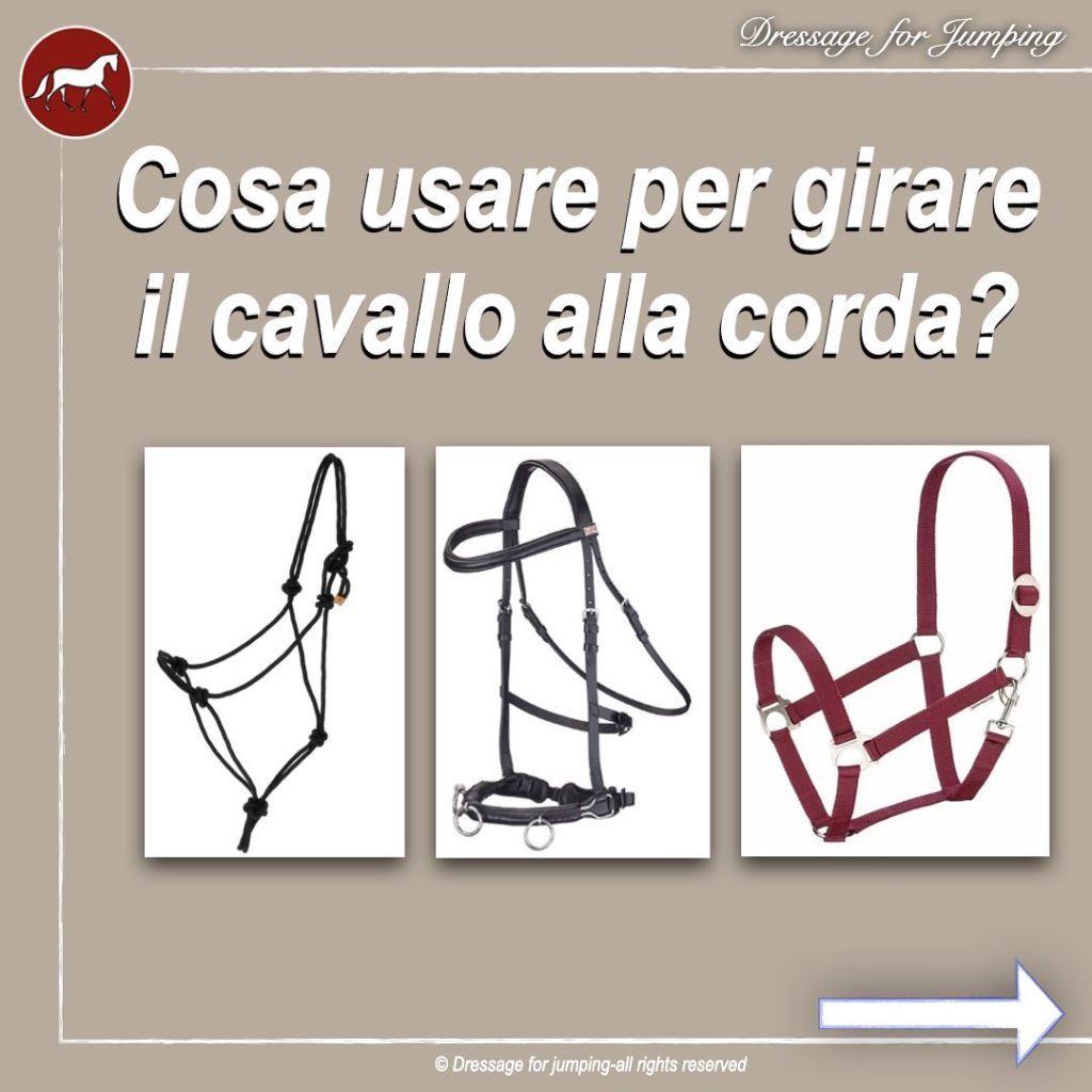 Cosa usare per girare il cavallo alla corda?